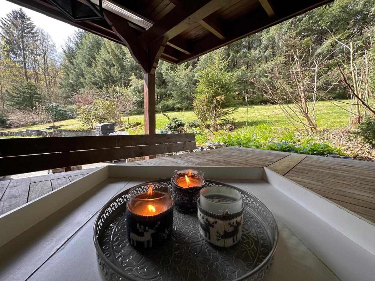 Charming Villa On The Forest In Wald 12 Guests Hugh Garden Willingen Sauerland Brilon Εξωτερικό φωτογραφία