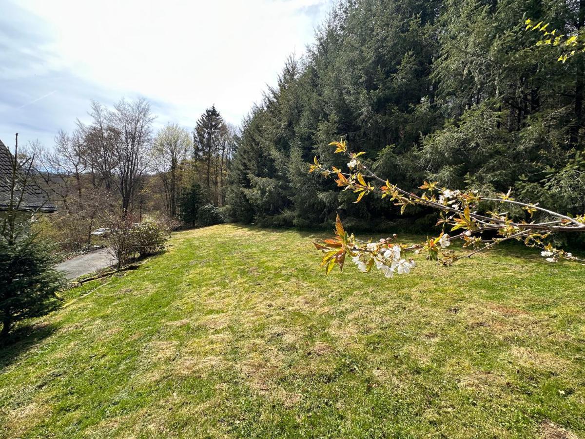 Charming Villa On The Forest In Wald 12 Guests Hugh Garden Willingen Sauerland Brilon Εξωτερικό φωτογραφία