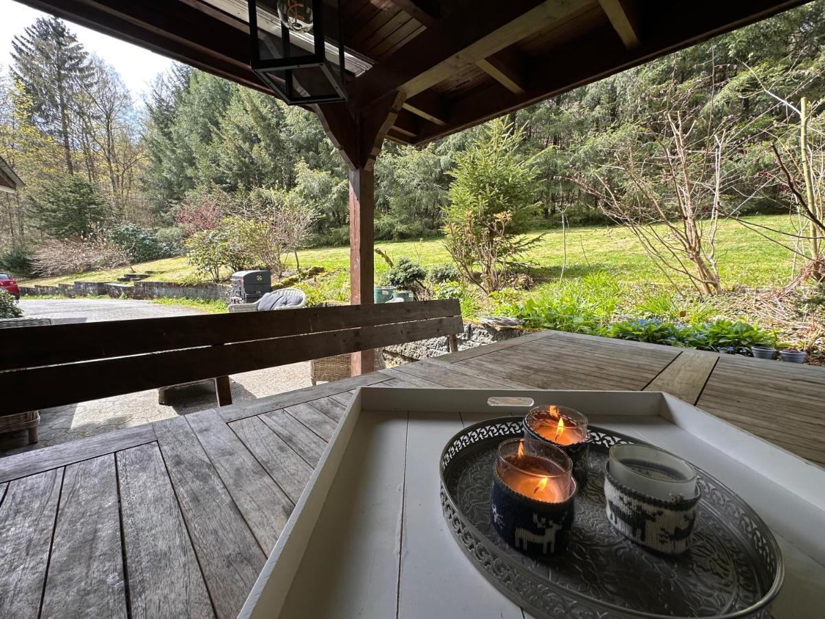 Charming Villa On The Forest In Wald 12 Guests Hugh Garden Willingen Sauerland Brilon Εξωτερικό φωτογραφία