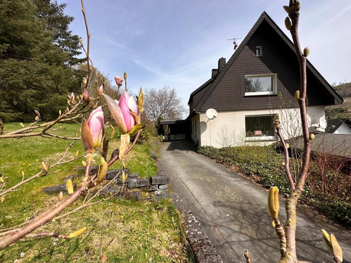 Charming Villa On The Forest In Wald 12 Guests Hugh Garden Willingen Sauerland Brilon Εξωτερικό φωτογραφία