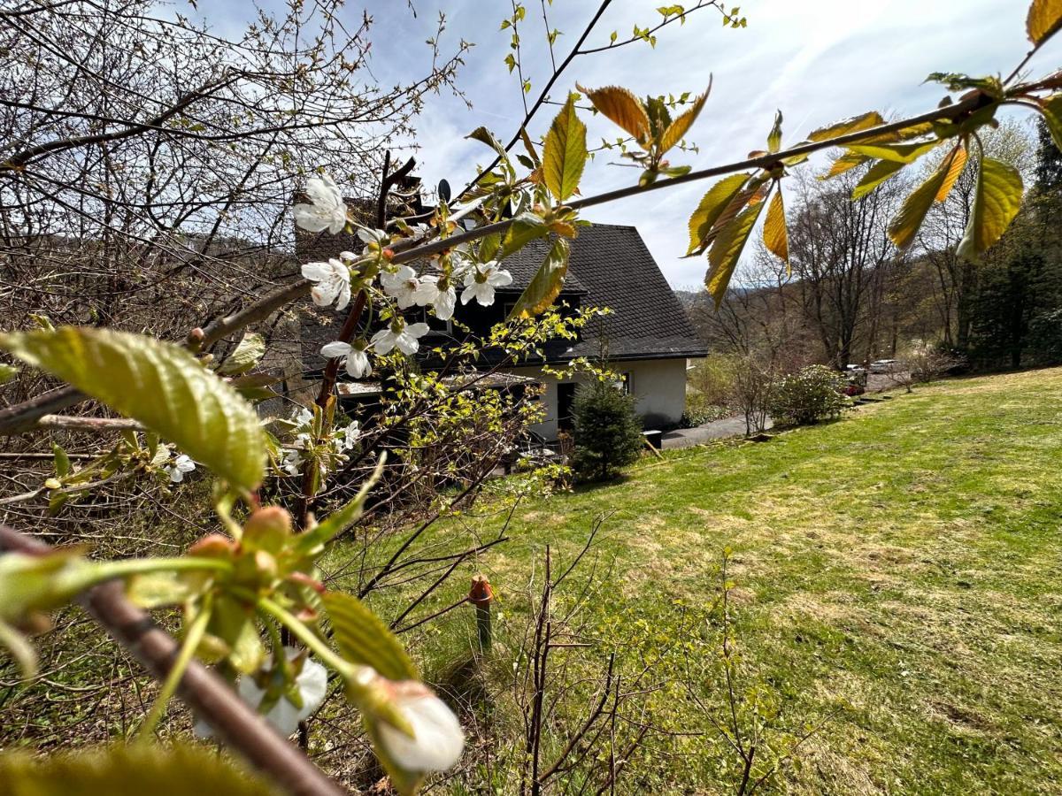 Charming Villa On The Forest In Wald 12 Guests Hugh Garden Willingen Sauerland Brilon Εξωτερικό φωτογραφία